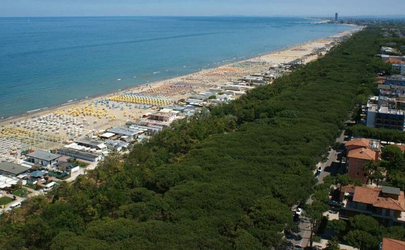 Cliquez pour zoomer ! Piadine Thermomix par cookodan