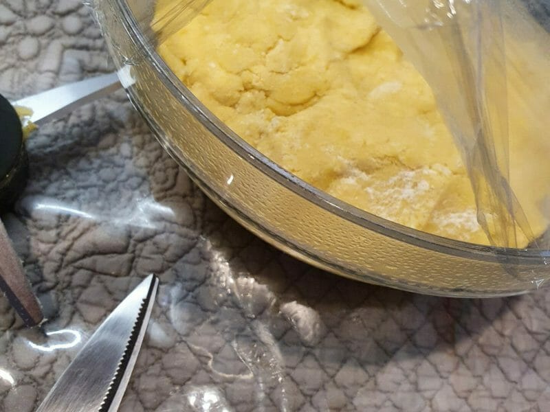 Cliquez pour zoomer ! Pizza au saumon et sauce kiri Thermomix par stecy_28