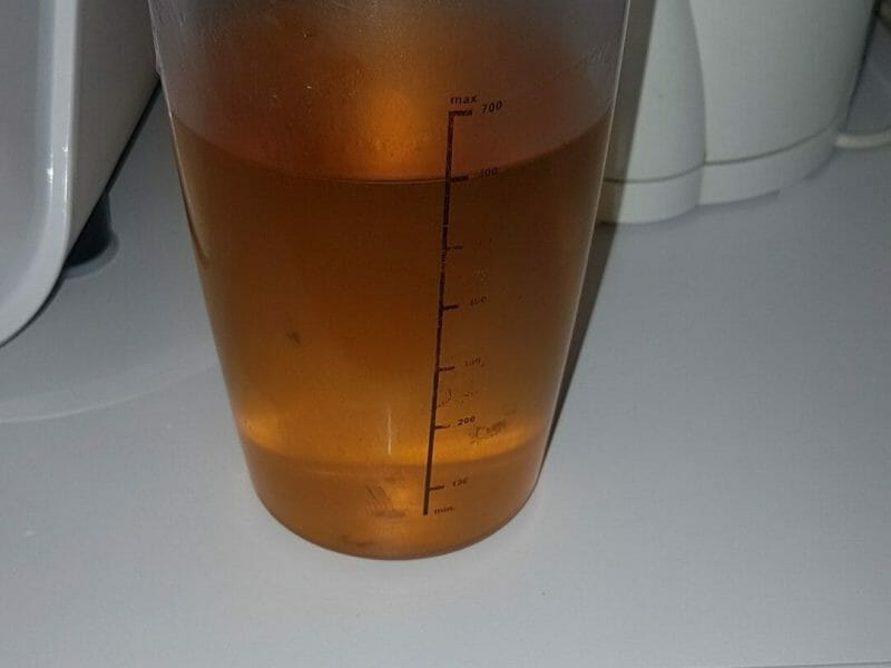 Cliquez pour zoomer ! Sirop d’Arlequin Thermomix par rl