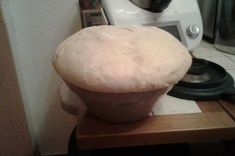 Cliquez pour zoomer ! Brioche Buchty Thermomix par Annie.Zen