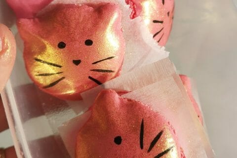 Cliquez pour zoomer ! Macarons Thermomix par LilyRøxy