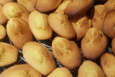 Photos des recettes