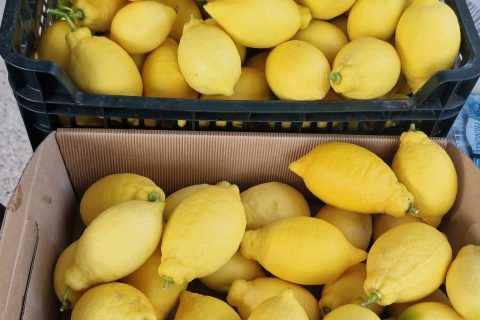 Cliquez pour zoomer ! Confiture de citron Thermomix par Chanch 26