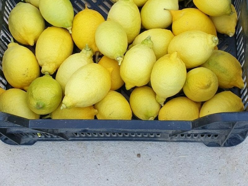 Cliquez pour zoomer ! Sorbet citron Thermomix par Chanch 26