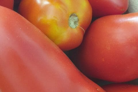 Cliquez pour zoomer ! Coulis de tomates Thermomix par Chanch 26