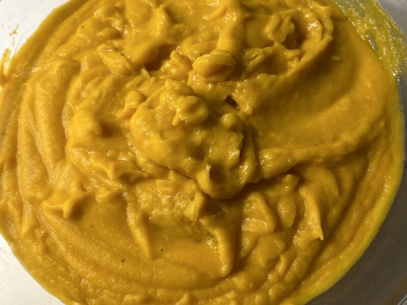 Cliquez pour zoomer ! Purée de butternut Thermomix par tatounette73