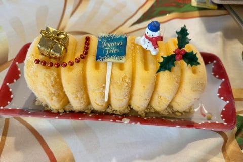 Cliquez pour zoomer ! Bûche glacée mangue et framboise Thermomix par tatounette73