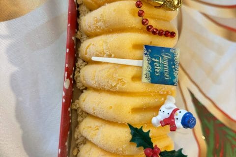 Cliquez pour zoomer ! Bûche glacée mangue et framboise Thermomix par tatounette73