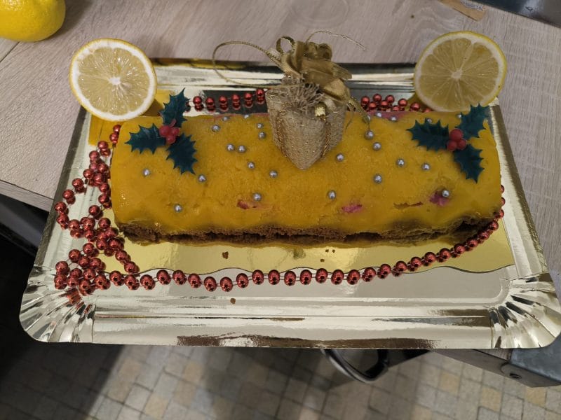 Cliquez pour zoomer ! Bûche glacée mangue et framboise Thermomix par jennifer_251