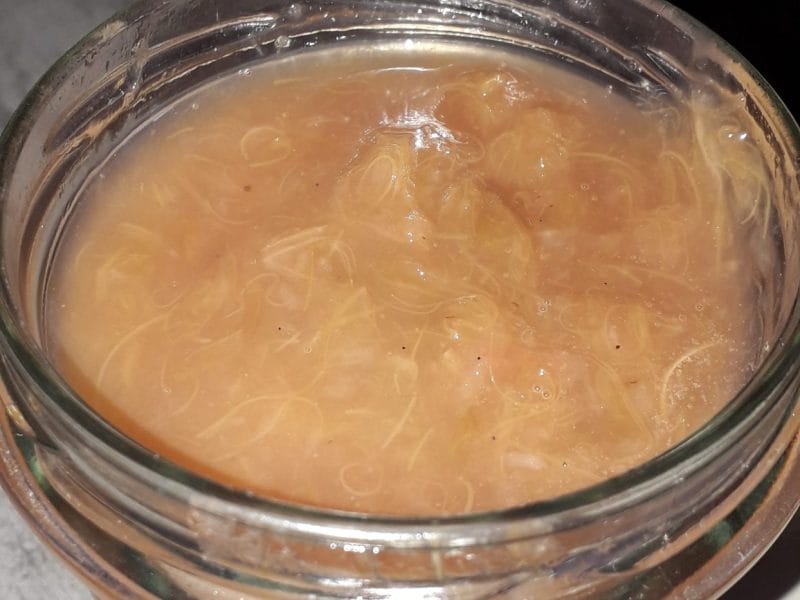 Cliquez pour zoomer ! Confiture de rhubarbe Thermomix par kokole