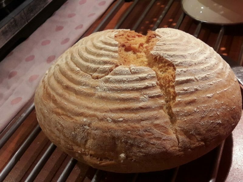 Cliquez pour zoomer ! Pain d’épeautre en cocotte Thermomix par xtlle