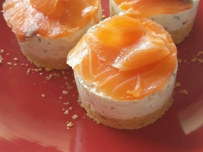 Cliquez pour zoomer ! Cheesecake au saumon sans cuisson Thermomix par sandrag2209