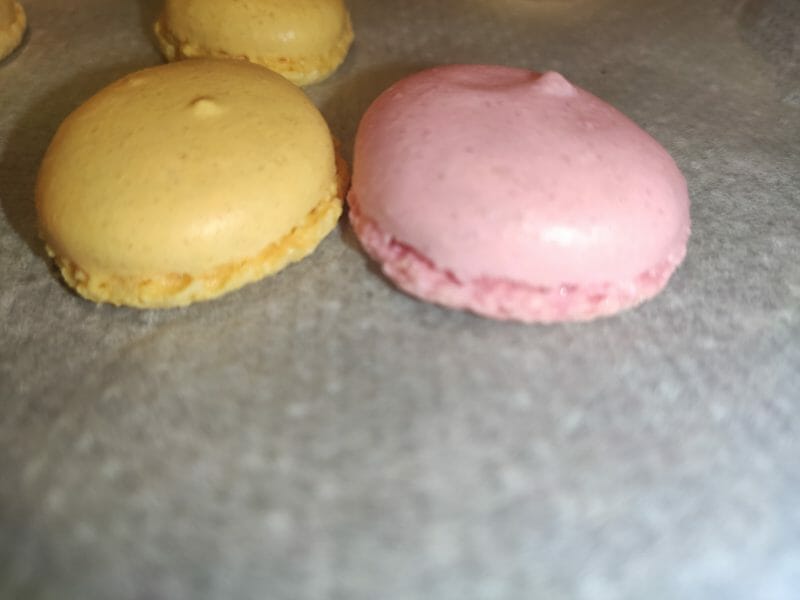 Cliquez pour zoomer ! Macarons Thermomix par charlotte_308