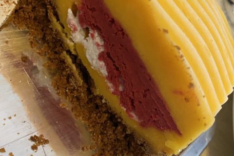 Cliquez pour zoomer ! Bûche glacée mangue et framboise Thermomix par fla069