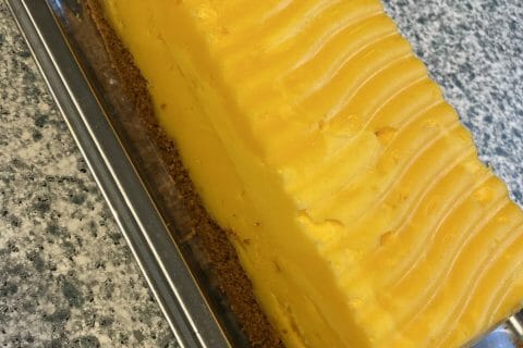 Cliquez pour zoomer ! Bûche glacée mangue et framboise Thermomix par fla069