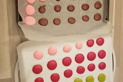Cliquez pour zoomer ! Macarons Thermomix par emysterfreeze