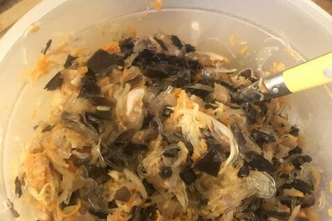 Cliquez pour zoomer ! Nems au poulet Thermomix par soln_3