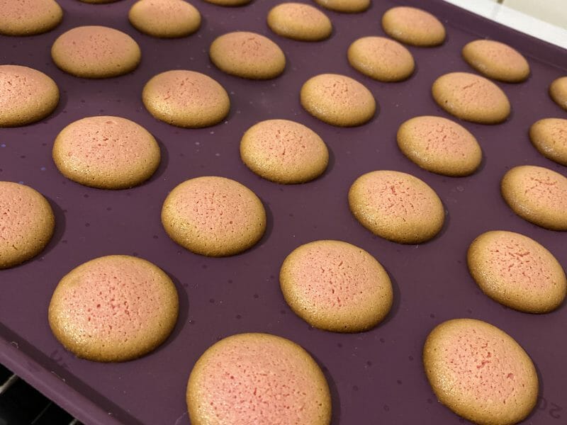 Cliquez pour zoomer ! Macarons Thermomix par Sarayla