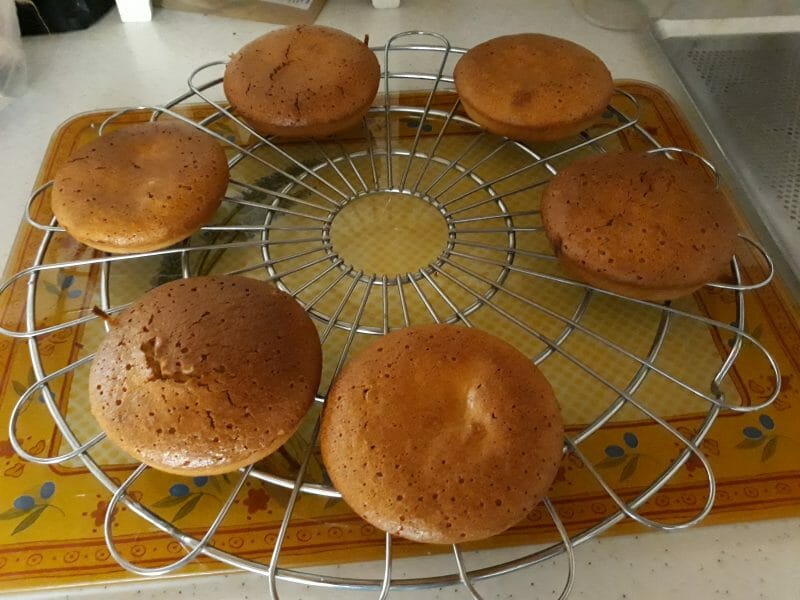 Cliquez pour zoomer ! Gâteau creusois Thermomix par Capucine214