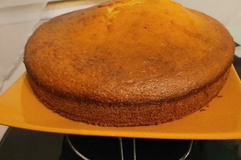 Cliquez pour zoomer ! Photo de ananass