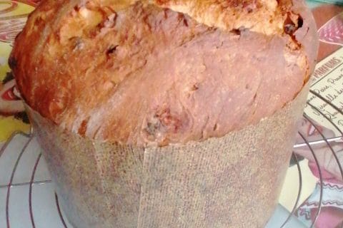 Cliquez pour zoomer ! Panettone Thermomix par sitou