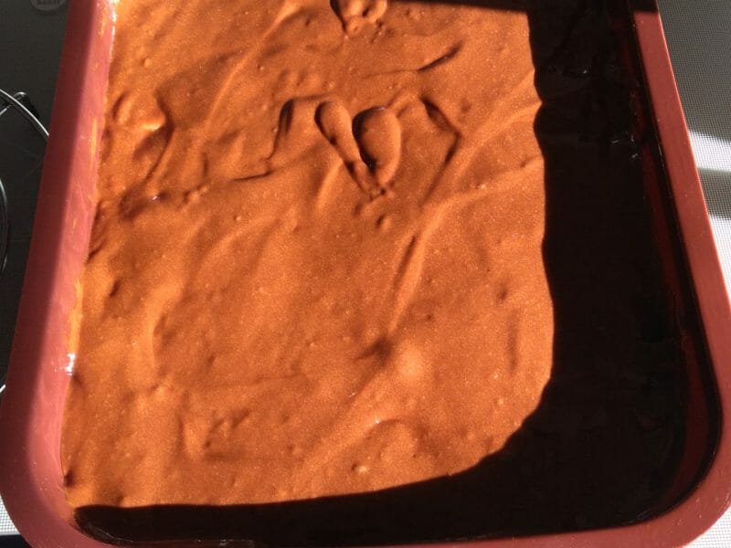 Cliquez pour zoomer ! Gâteau au chocolat des écoliers Thermomix par Sardine39