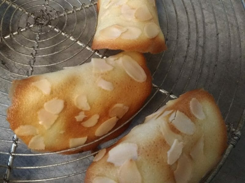 Cliquez pour zoomer ! Tuiles aux amandes Thermomix par stephjct