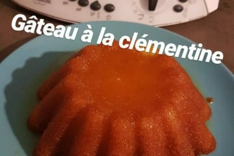 Cliquez pour zoomer ! Gâteau à la clémentine au Thermomix