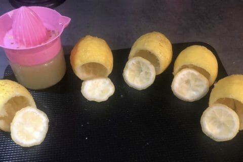 Cliquez pour zoomer ! Oranges givrées Thermomix par Ga34