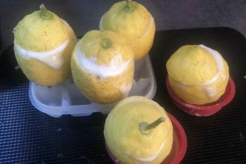 Cliquez pour zoomer ! Oranges givrées Thermomix par Ga34