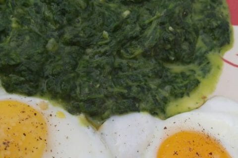 Photos des recettes