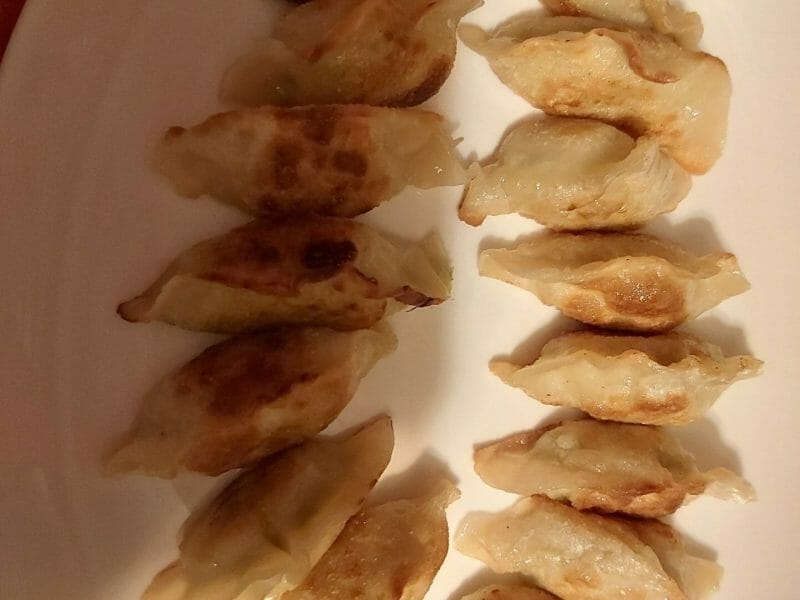 Cliquez pour zoomer ! Gyoza poulet et chou chinois Thermomix par mfrance974
