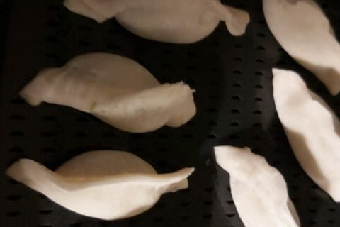 Cliquez pour zoomer ! Gyoza poulet et chou chinois Thermomix par mfrance974
