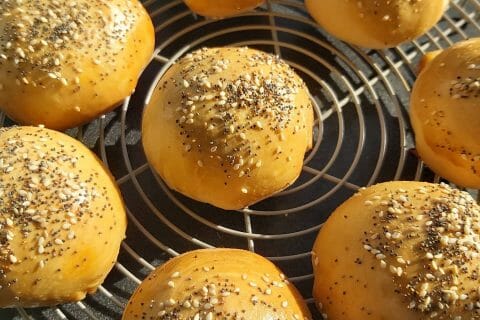 Cliquez pour zoomer ! Bun’s jambon fromage Thermomix par mfrance974