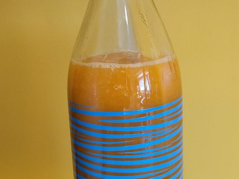 Cliquez pour zoomer ! Nectar d’abricot Thermomix par carole_21390