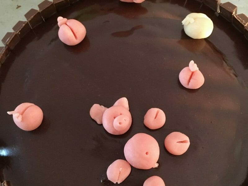 Cliquez pour zoomer ! La mare aux cochons Thermomix par chlonon