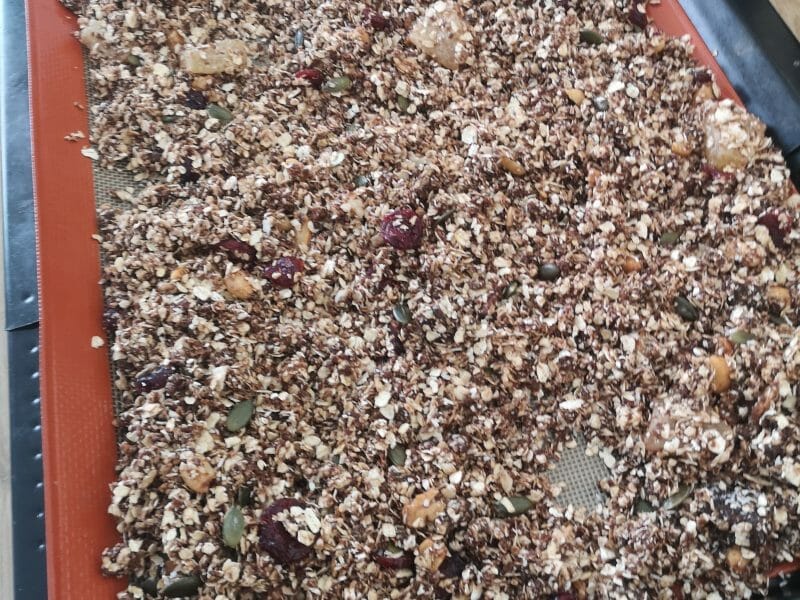 Cliquez pour zoomer ! Granola au chocolat Thermomix par Magalilie21