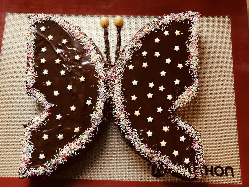 Cliquez pour zoomer ! Gâteau papillon Thermomix par lili1980