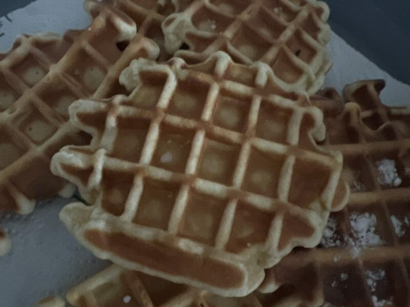 Cliquez pour zoomer ! Gaufres longue conservation Thermomix par salidadou