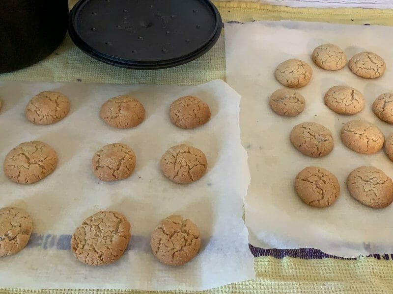 Cliquez pour zoomer ! Biscuits aux flocons d’avoine et amandes Thermomix par yogilamalys