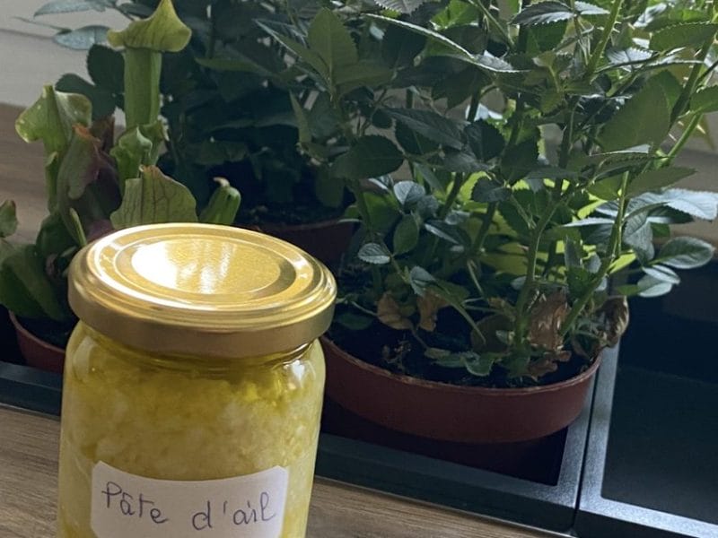 Cliquez pour zoomer ! Pâte d’ail Thermomix par yagaemto