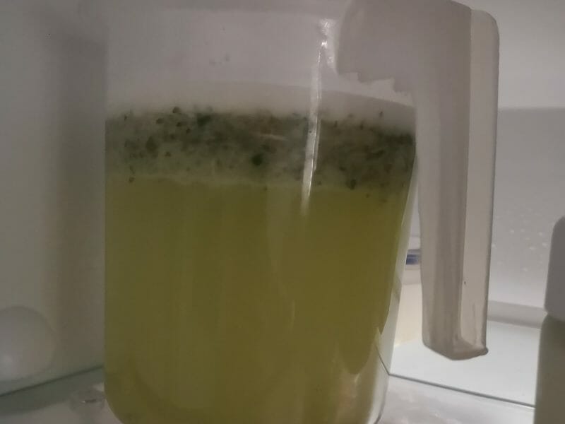 Cliquez pour zoomer ! Lemon mint Thermomix par yagaemto