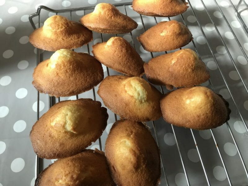 Cliquez pour zoomer ! Madeleines Thermomix par Picaud