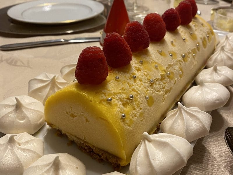 Cliquez pour zoomer ! Bûche glacée mangue et framboise Thermomix par hylaimpala