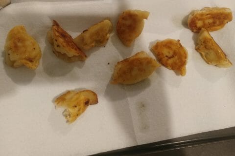 Cliquez pour zoomer ! Gyoza poulet et chou chinois Thermomix par stephabby