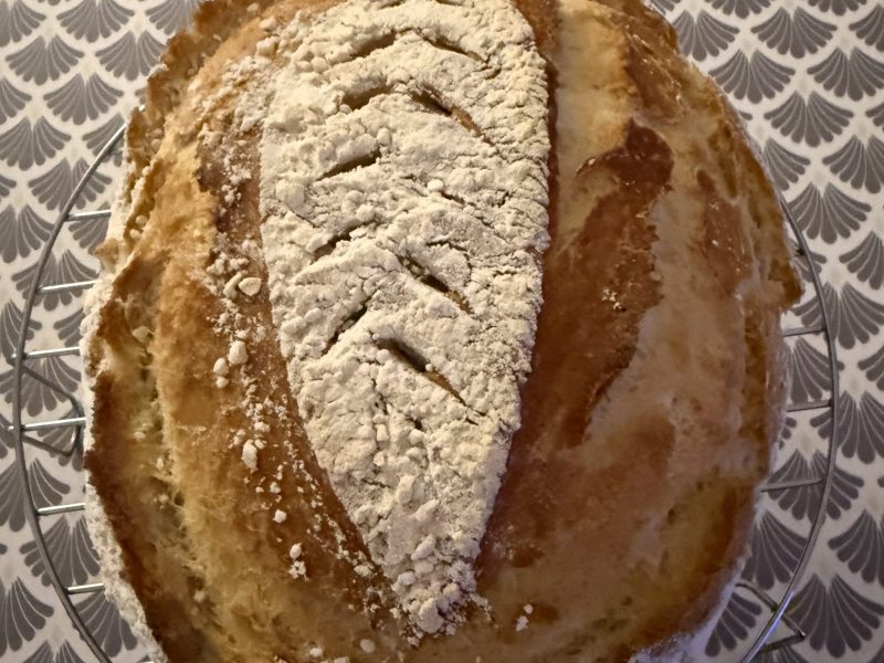 Cliquez pour zoomer ! Pain Cocotte Thermomix par takamina75