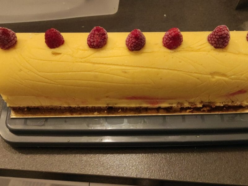 Cliquez pour zoomer ! Bûche glacée mangue et framboise Thermomix par jenny_79