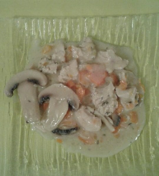 Cliquez pour zoomer ! Blanquette de poulet Thermomix par Alex Riri