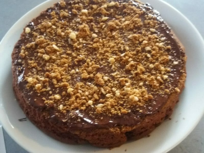 Cliquez pour zoomer ! Gâteau au yaourt et chocolat Thermomix par rouminette