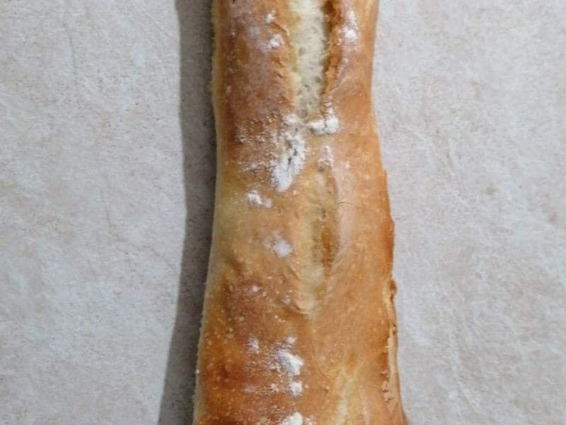 Cliquez pour zoomer ! Baguettes Thermomix par EMILIE